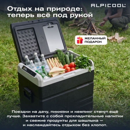 Компрессорный автохолодильник Alpicool TS60 (12/24)